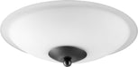Myhouse Lighting Quorum - 1180-869 - LED Fan Light Kit - 1180 Light Kits - Textured Black w/ Satin Opal