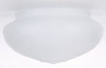 Myhouse Lighting Nuvo Lighting - 50-109 - Glass
