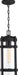 Myhouse Lighting Nuvo Lighting - 60-6574 - One Light Hanging Lantern - Tofino - Textured Black / Clear Glass