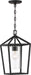 Myhouse Lighting Nuvo Lighting - 60-6594 - One Light Hanging Lantern - Hopewell - Matte Black