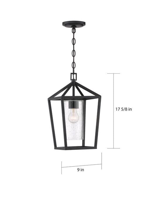 Myhouse Lighting Nuvo Lighting - 60-6594 - One Light Hanging Lantern - Hopewell - Matte Black