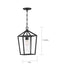 Myhouse Lighting Nuvo Lighting - 60-6594 - One Light Hanging Lantern - Hopewell - Matte Black