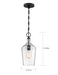 Myhouse Lighting Nuvo Lighting - 60-6749 - One Light Pendant - Hartley - Matte Black / Clear Glass