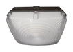 Myhouse Lighting Nuvo Lighting - 65-149 - LED Canopy Fixture - Bronze