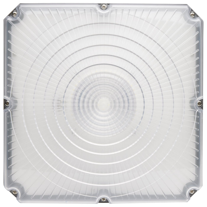 Myhouse Lighting Nuvo Lighting - 65-149 - LED Canopy Fixture - Bronze