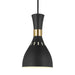 Myhouse Lighting Visual Comfort Studio - EP1141MBK - One Light Pendant - Joan - Midnight Black