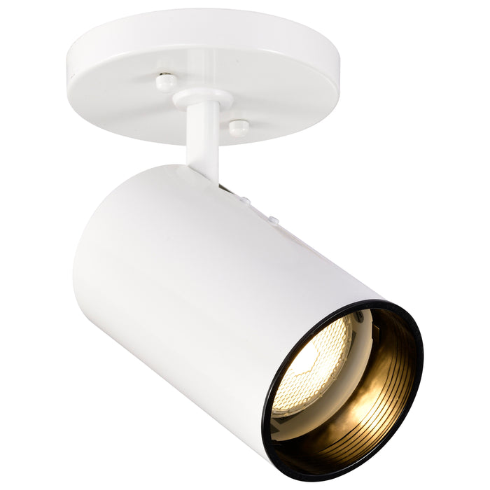 One Light Flush Mount in White