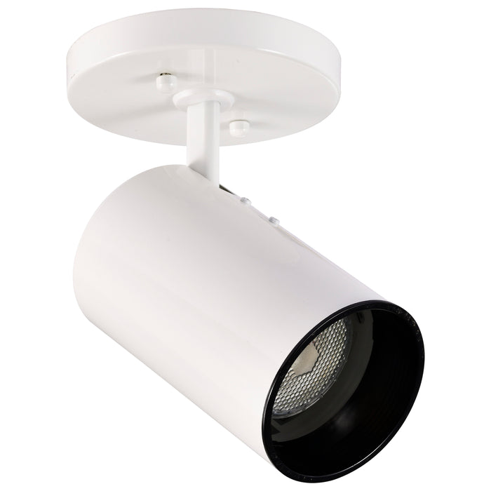 One Light Flush Mount in White