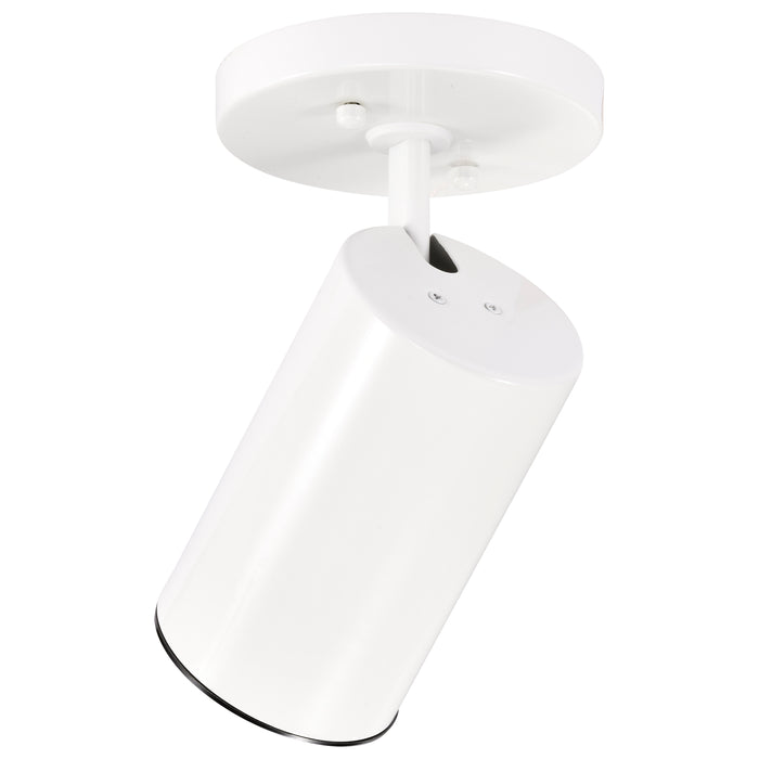 One Light Flush Mount in White