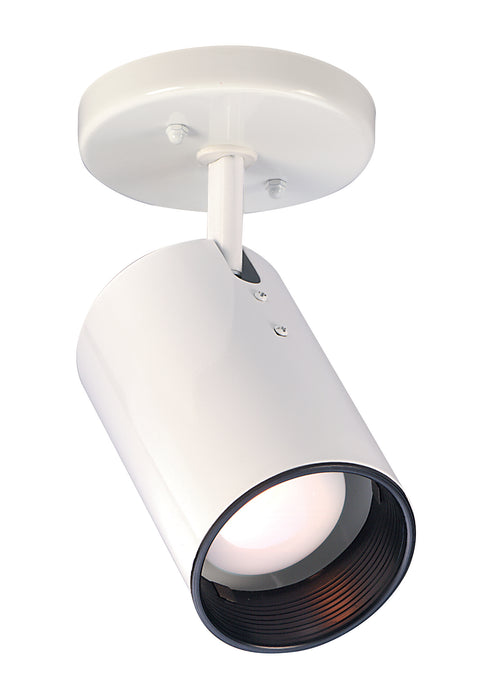 One Light Flush Mount in White