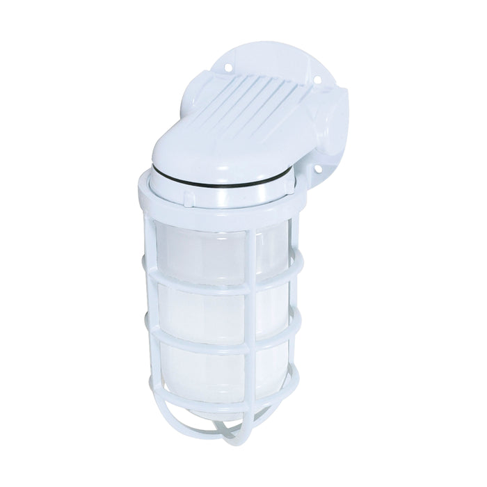 One Light Wall Lantern in White