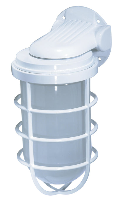 One Light Wall Lantern in White
