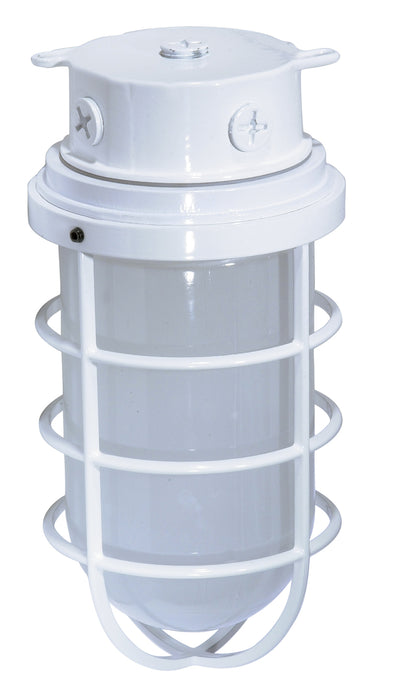 One Light Ceiling Mount in White