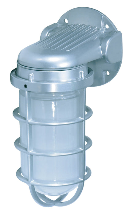 One Light Wall Lantern in Metallic Silver