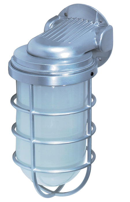 One Light Wall Lantern in Metallic Silver