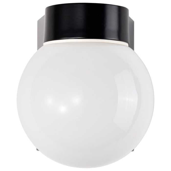One Light Wall Lantern in Bronzotic
