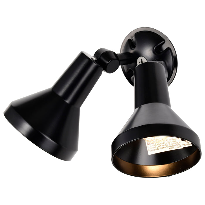 Two Light Floodlight in Black