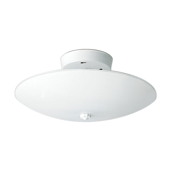 Two Light Flush Mount in White