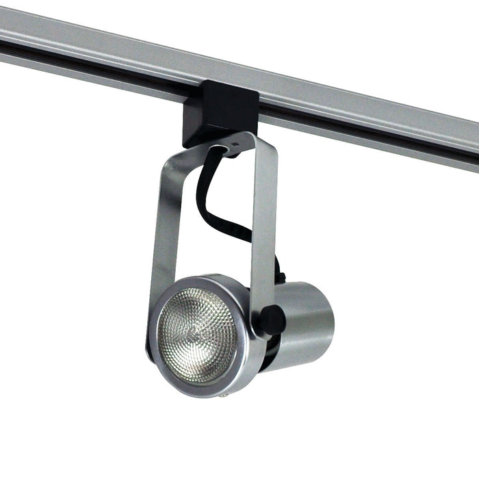 Myhouse Lighting Nora Lighting - NTH-112N/J - Gimbal Par20 Natural "J" Adapt - Track Inc Line Voltage - Natural Metal
