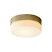 Myhouse Lighting Oxygen - 32-630-40 - LED Ceiling Mount - Zuri - Aged Brass