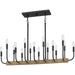 Myhouse Lighting Quoizel - COD139MBK - 16 Light Island Chandelier - Coda - Matte Black