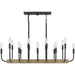 Myhouse Lighting Quoizel - COD139MBK - 16 Light Island Chandelier - Coda - Matte Black