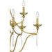 Myhouse Lighting Quoizel - JOU5032AB - Nine Light Chandelier - Joules - Aged Brass