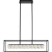 Myhouse Lighting Quoizel - PCDZ136MBK - LED Island Chandelier - Dazzle - Matte Black