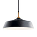 Myhouse Lighting Kichler - 43683BK - One Light Pendant - Danika - Black