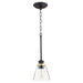 Myhouse Lighting Quorum - 309-69 - One Light Pendant - Dunbar - Textured Black