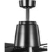 Myhouse Lighting Progress Lighting - P250026-031-30 - 60" Ceiling Fan - Arlo - Black