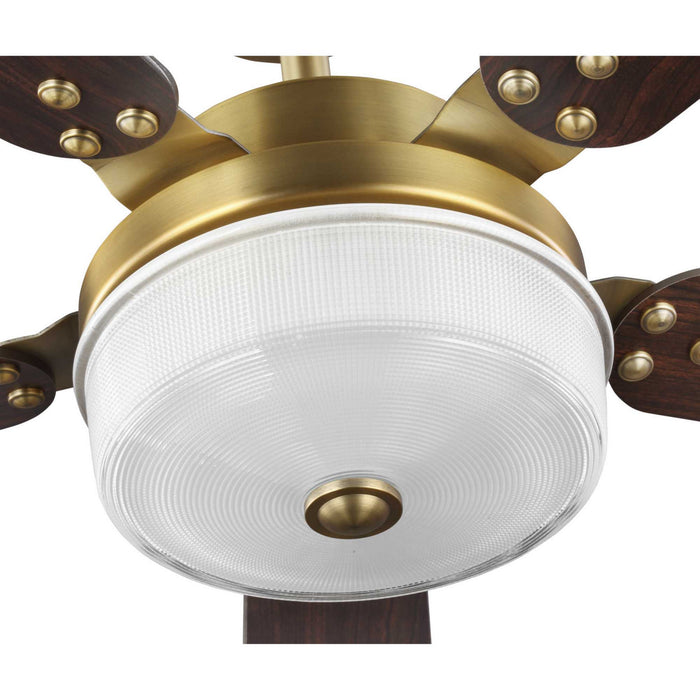 Myhouse Lighting Progress Lighting - P2578-16330K - 52"Ceiling Fan - Tempt - Vintage Brass