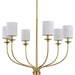 Myhouse Lighting Progress Lighting - P400227-012 - Six Light Foyer Chandelier - Bonita - Satin Brass