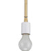 Myhouse Lighting Progress Lighting - P5198-12 - One Light Pendant - Markor - Satin Brass