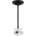 Myhouse Lighting Progress Lighting - P5199-31 - Three Light Pendant - Markor - Matte Black