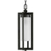 Myhouse Lighting Progress Lighting - P550044-108 - One Light Hanging Lantern - Janssen - Oil Rubbed Bronze