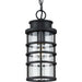 Myhouse Lighting Progress Lighting - P550061-031 - One Light Hanging Lantern - Port Royal - Black