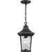 Myhouse Lighting Progress Lighting - P550062-031 - One Light Hanging Lantern - Marquette - Black