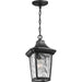 Myhouse Lighting Progress Lighting - P550062-031 - One Light Hanging Lantern - Marquette - Black