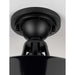 Myhouse Lighting Progress Lighting - P550070-031 - One Light Semi Flush Mount - Cedar Springs - Black