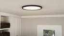 Myhouse Lighting Quoizel - OST1720EK - LED Flush Mount - Outskirts - Earth Black