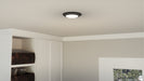 Myhouse Lighting Quoizel - VRG1608EK - LED Flush Mount - Verge - Earth Black