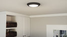 Myhouse Lighting Quoizel - VRG1612EK - LED Flush Mount - Verge - Earth Black