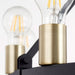 Myhouse Lighting Quorum - 64-16-6980 - 16 Light Chandelier - Paxton - Textured Black w/ Aged Brass