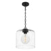 Myhouse Lighting Quoizel - ABR1512MBK - One Light Mini Pendant - Abner - Matte Black