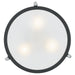 Myhouse Lighting Quoizel - QF1715EK - Three Light Semi Flush Mount - Rigel - Earth Black