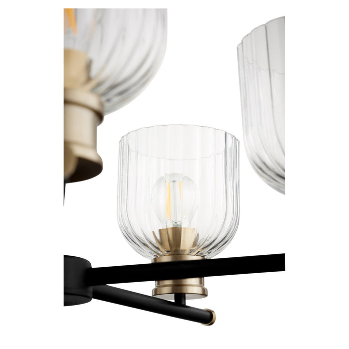 Myhouse Lighting Quorum - 610-5-6980 - Five Light Chandelier - Monarch - Textured Black w/ Aged Brass