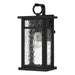 Myhouse Lighting Quoizel - MOI8408EK - One Light Outdoor Wall Mount - Moira - Earth Black