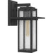 Myhouse Lighting Quoizel - RDL8409MB - One Light Outdoor Wall Mount - Randall - Mottled Black