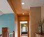 Myhouse Lighting Westinghouse Lighting - 5220000 - Light Bulb - Frost